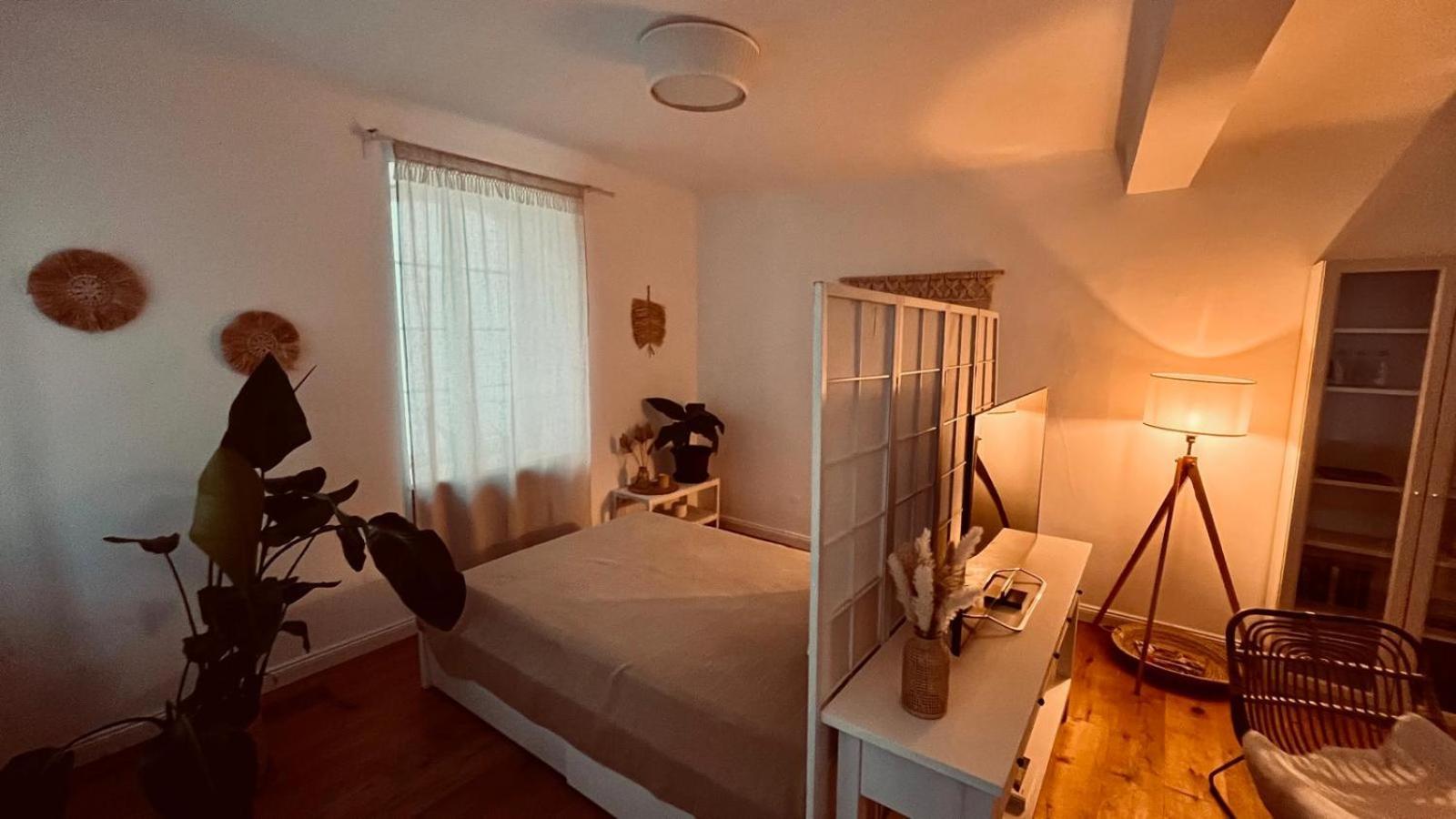 Apartment Am Schloss - Charme Saarbrücken Eksteriør bilde