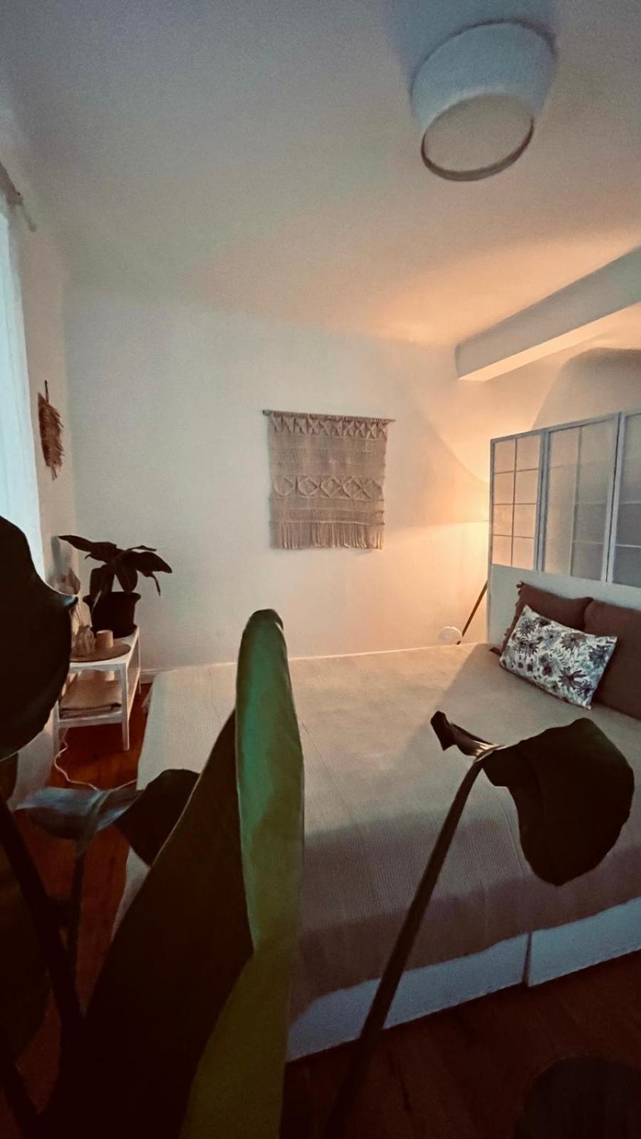 Apartment Am Schloss - Charme Saarbrücken Eksteriør bilde