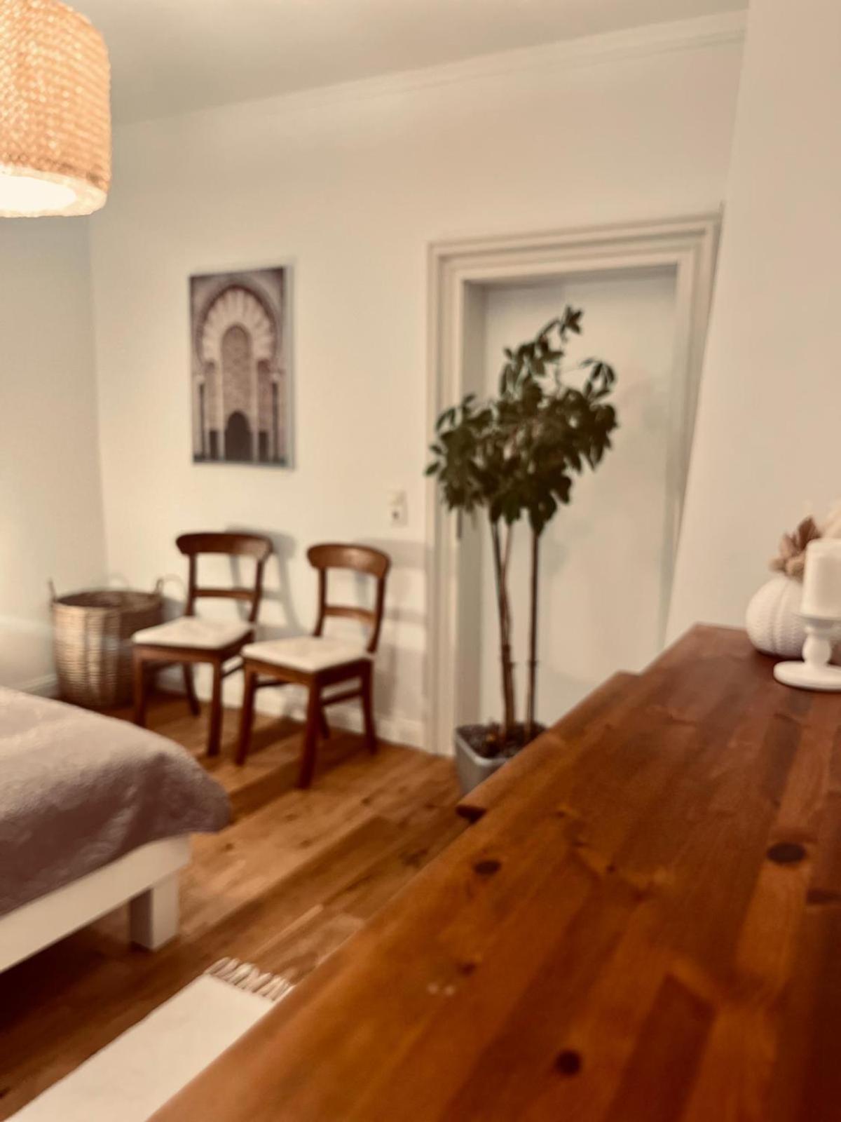 Apartment Am Schloss - Charme Saarbrücken Eksteriør bilde